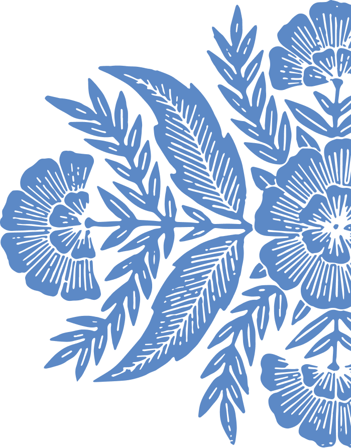 Blue line art illustration of flowers and leaves forming a decorative botanical pattern, perfect for adding elegance to listings of Uplands Westminster homes for sale or showcasing homes for sale in Westminster, CO. Transparent background included.