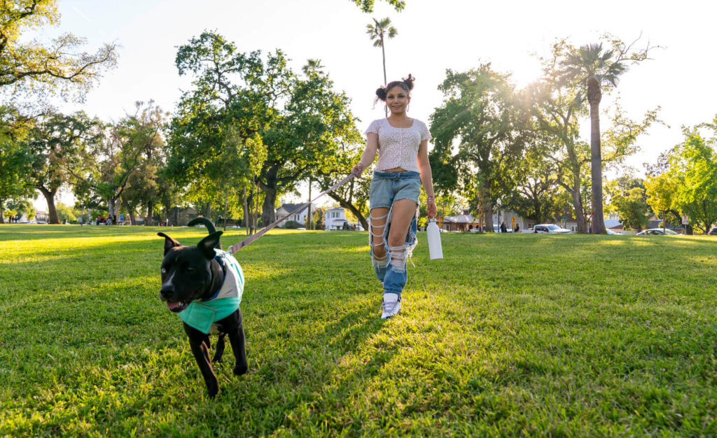 A woman in ripped jeans walks a black dog on a leash through a sunny park with green grass and trees near Uplands Westminster homes for sale.