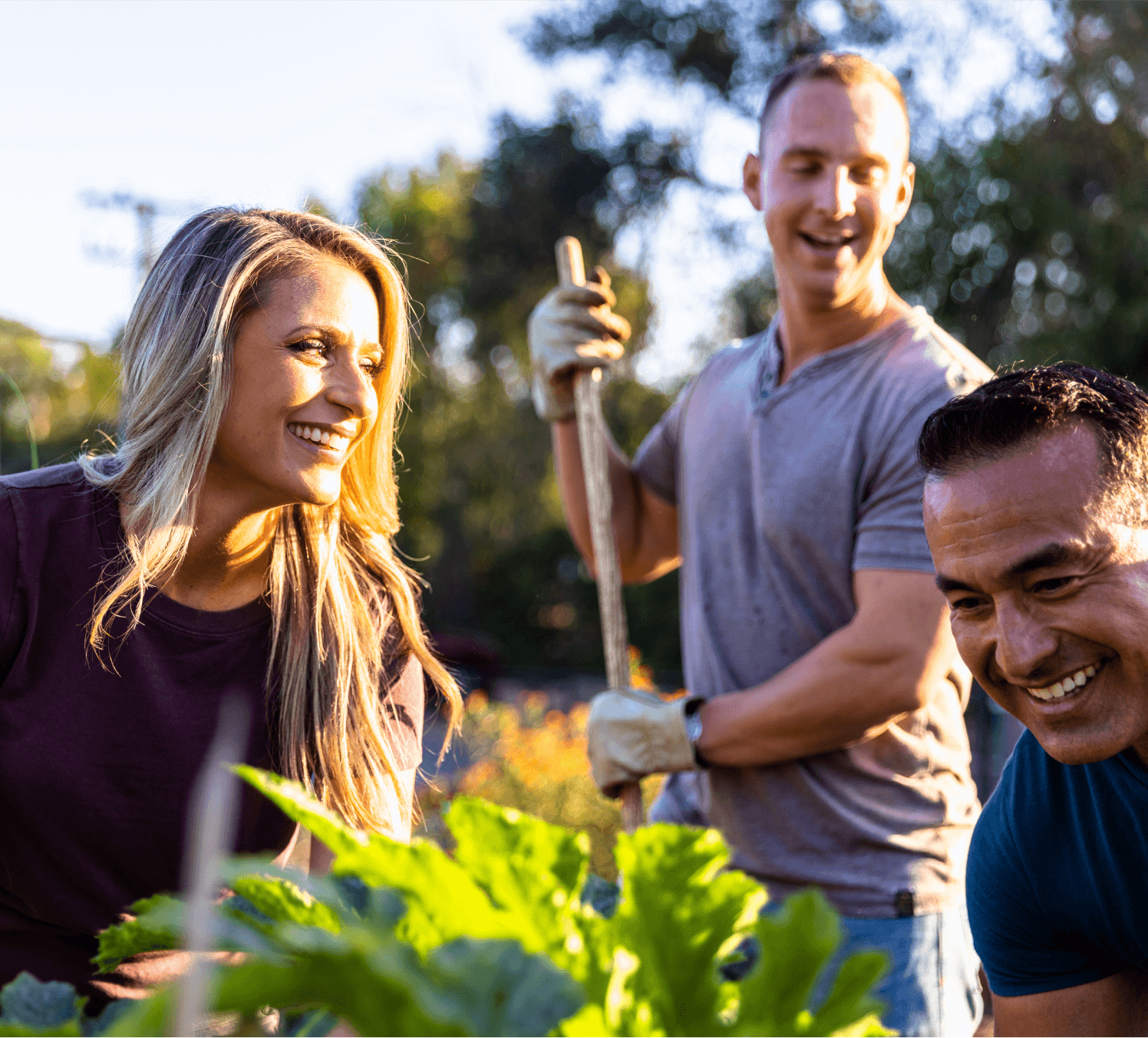 Three adults work together in a sunny garden, smiling and tending to leafy plants—capturing the friendly spirit found in Uplands Westminster homes for sale.